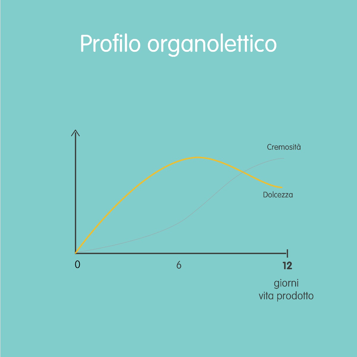 stracchino-profilo-organolettico